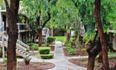 Lush courtyard with walkways and greenery