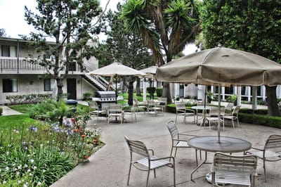 Outdoor seating area with umbrellas and landscaping