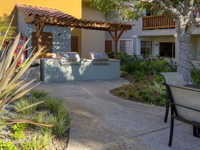 Outdoor grill area in a landscaped garden
