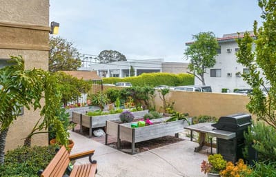 Community garden area with raised planters