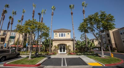 Exterior view of FountainGlen Seacliff building with palm trees