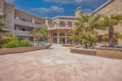 Outdoor courtyard with palm trees and seating areas