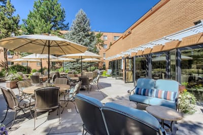 Outdoor seating area with umbrellas and greenery