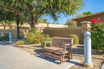 Garden bench surrounded by flowers and trees