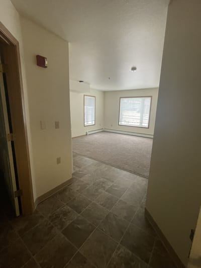 Spacious interior room with windows and carpeting