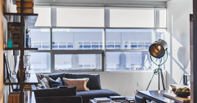 Bright interior lounge area with a sofa and bookshelves