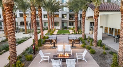 Outdoor fire pit area surrounded by palm trees