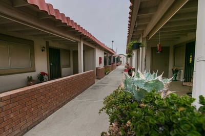 Pathway between resident units with cactus plants
