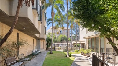 A serene garden area with palm trees and benches