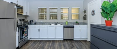 Modern kitchen in a senior apartment