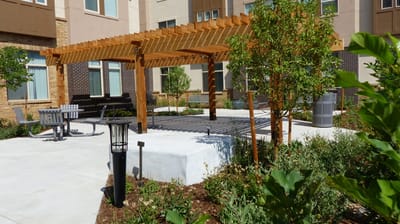 Outdoor seating area with pergola in a landscaped garden