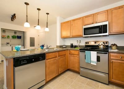 Bright kitchen with modern appliances and cabinetry.