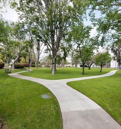 Curved walkways in a green outdoor space
