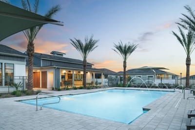 Outdoor pool area with palm trees and seating