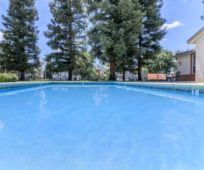 A clear swimming pool surrounded by trees
