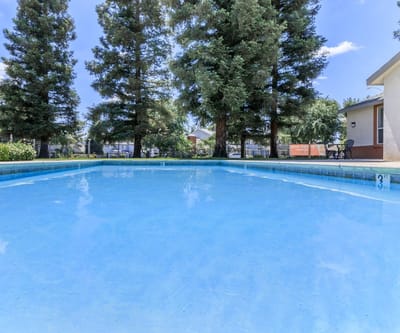 View of a tranquil pool area surrounded by trees
