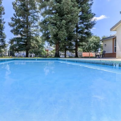 Swimming pool surrounded by trees in a sunny outdoor area