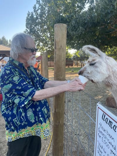 A resident feeding a llama at an outdoor event
