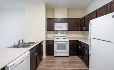 Bright interior kitchen space with modern appliances