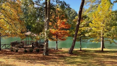 A serene outdoor space by a lake with colorful trees