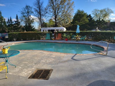 Outdoor pool area with lounge chairs and trees