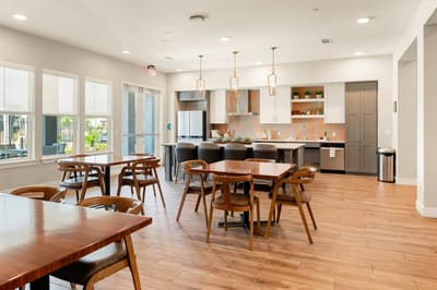 Bright common area with modern kitchen and dining furniture