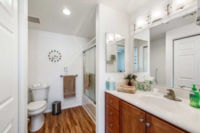 Bright bathroom with modern fixtures and wood flooring