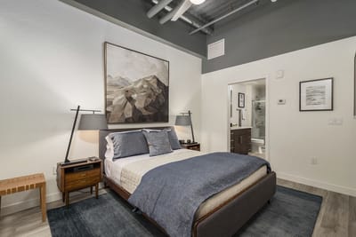 Stylish bedroom interior with bed and artwork