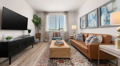Bright, modern living room with a brown sofa and decorative art.