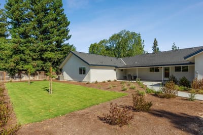 Outdoor space with green lawn and pathway.