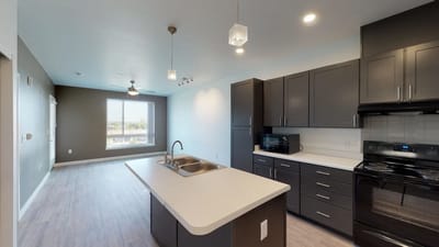 A modern kitchen and living area in a residence