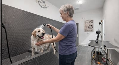 Resident washing a dog in a grooming area