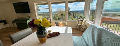 Bright interior with a view and a child playing