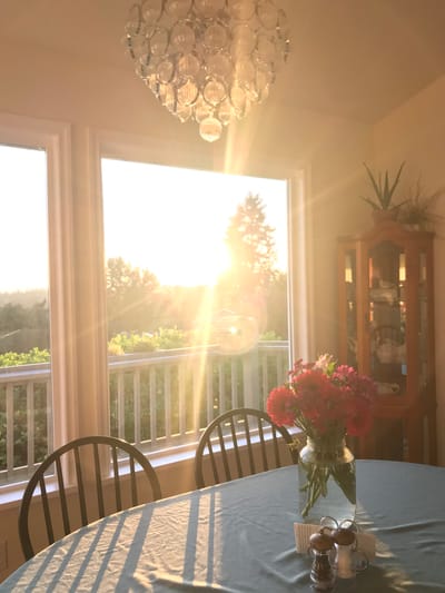 A sunny dining area with flowers on the table