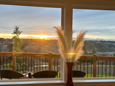 Sunset view from a facility window overlooking outdoor space