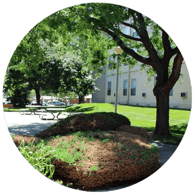 Well-maintained outdoor garden space with trees and seating