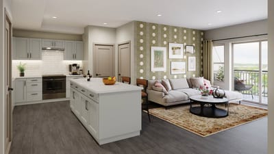 Modern kitchen and living room interior design