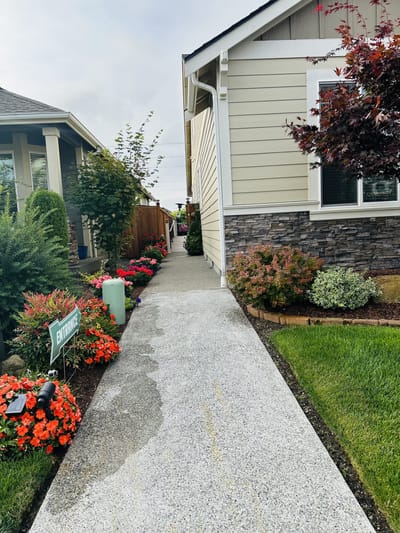 Pathway lined with flowers leading to a facility entrance