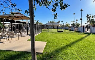 Inviting outdoor space with grass and seating