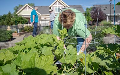 Resident tending to garden plants in outdoor space
