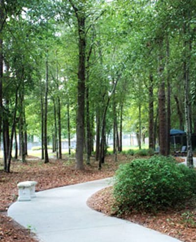 Walking path through a serene green space