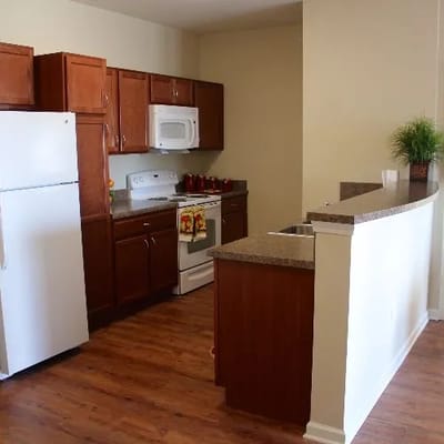Modern kitchen with wooden cabinets and appliances