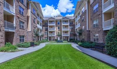 Outdoor view of a landscaped area between buildings