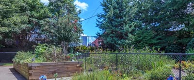A vibrant outdoor garden space with greenery