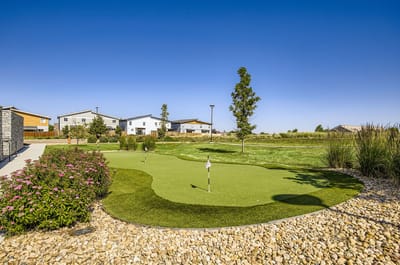 Beautiful golf putting area surrounded by greenery