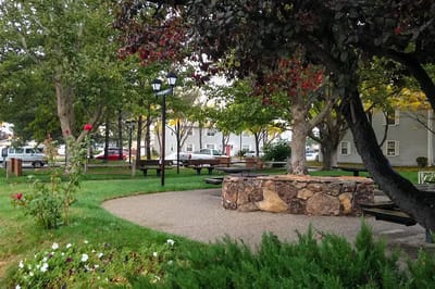 A serene outdoor space with benches and trees
