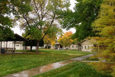 Pathway in a landscaped outdoor area with trees