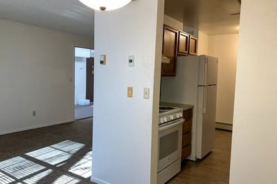 An interior view of a kitchen and living area in an apartment