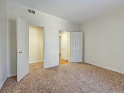 Empty interior room with beige carpet and closed doors