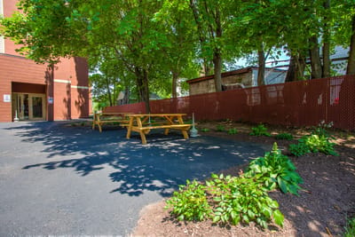 Outdoor patio area with picnic tables and greenery